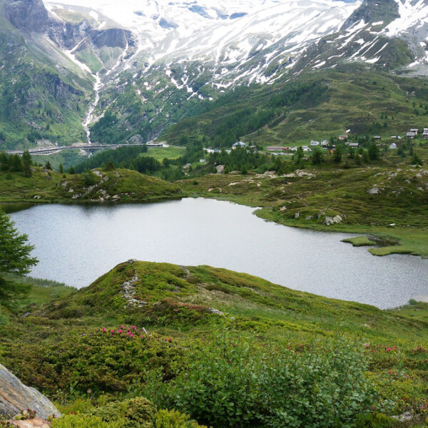 Hopschusee: Bergsee in den Alpen mit grüner Landschaft und schneebedeckten Gipfeln.