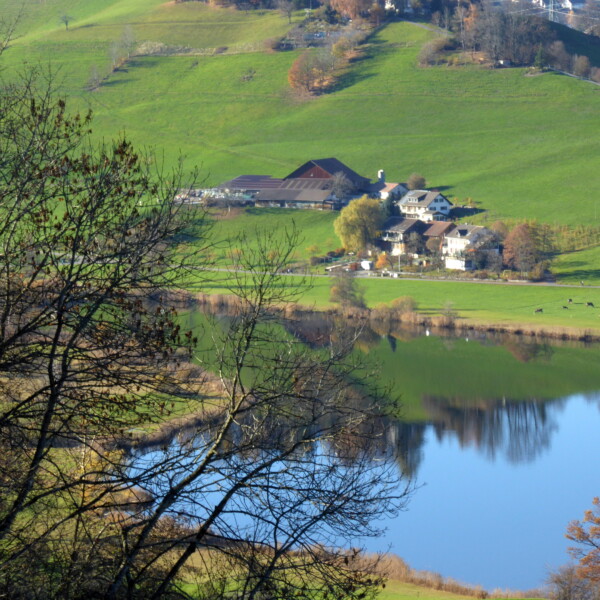 Hüttnersee: Idyllische Landschaft mit See, grünen Hügeln und Bauernhof.