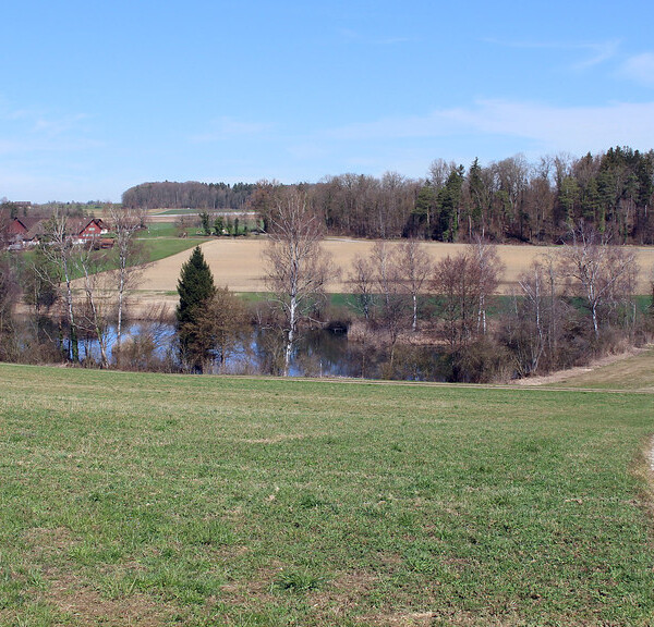 Husemersee Landschaft mit Wiesen, Bäumen und einem kleinen See unter blauem Himmel.