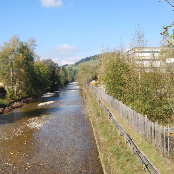 Fluss Ilfis fließt durch eine grüne Landschaft mit Bäumen und einem Zaun am Ufer.