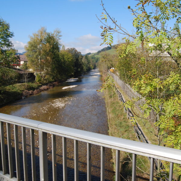 Fluss Ilfis unter einer Brücke mit Bäumen und blauem Himmel.