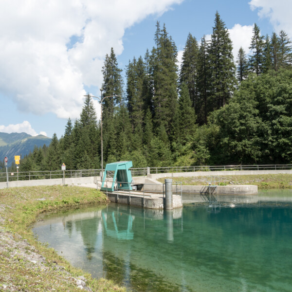 Iselsee Bergsee mit türkisfarbenem Wasser und grüner Uferlandschaft vor bewaldeten Bergen.