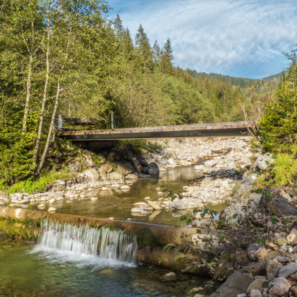 Brücke über den Fluss Kalte Sense in einer grünen Waldlandschaft.