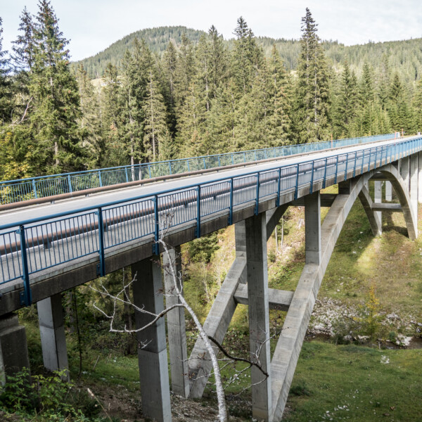 Brücke über die Kalte Sense, umgeben von grünen Bäumen und Natur.