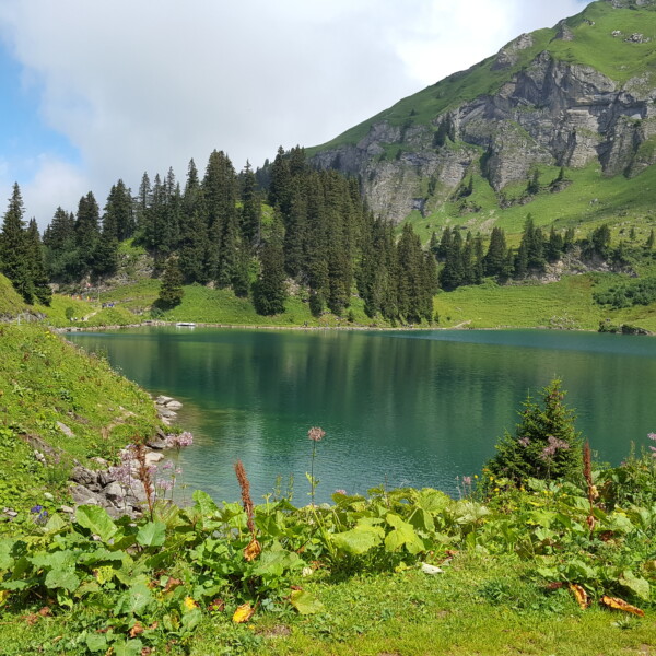 Lac Lioson, malerischer Bergsee umgeben von grünen Hängen und Tannenwäldern.