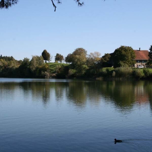 Lac de Bret: Ruhiger See mit Spiegelungen von Bäumen und einem Haus am Ufer.
