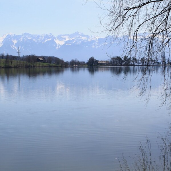 Ruhiger Lac de Bret mit Spiegelung der Berge und Bäume im Wasser.