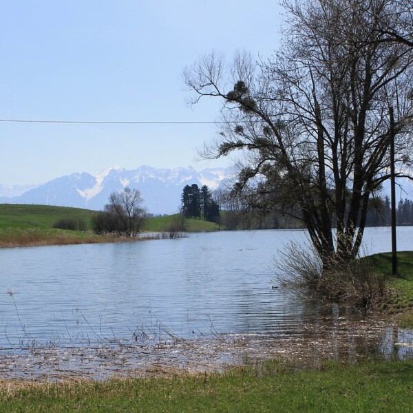 Lac de Bret: Ruhiger See mit Bergen im Hintergrund und Bäumen am Ufer.