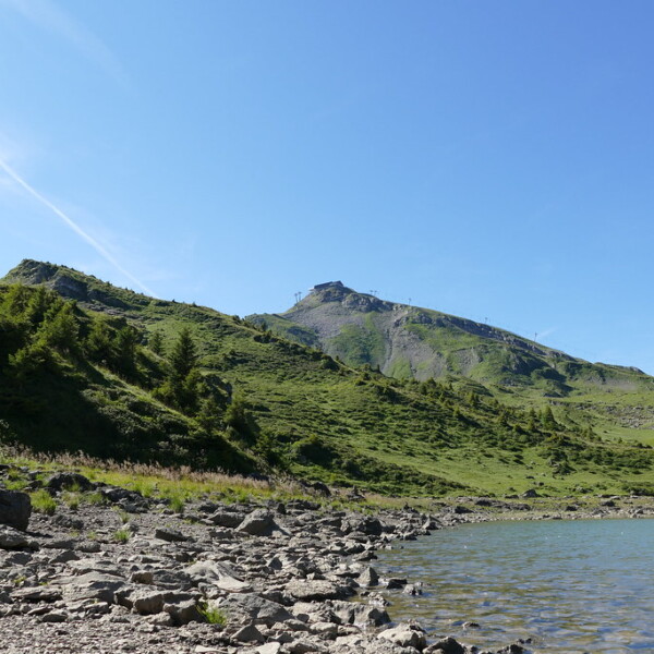 Lac de Chésery: Bergsee mit grünen Hängen und felsigem Ufer unter blauem Himmel.