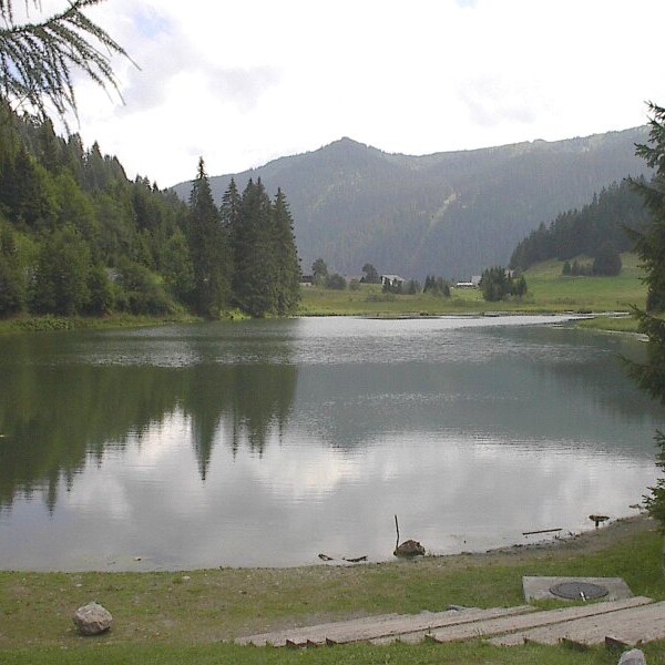 Ruhiger Lac de Morgins See umgeben von grünen Bäumen und Bergen.