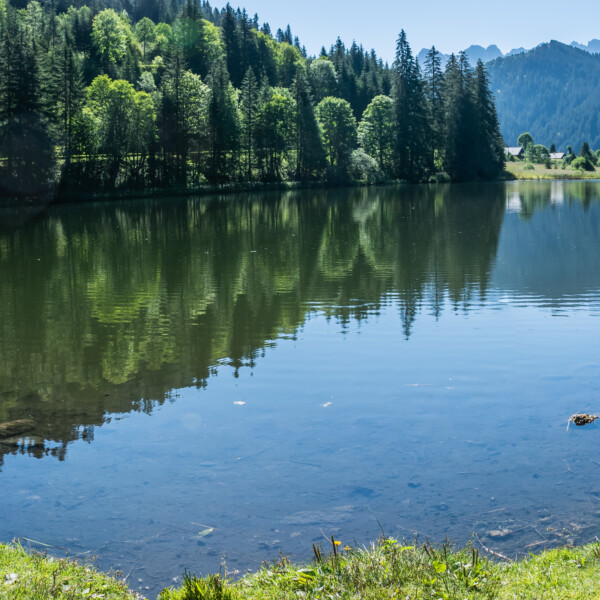 Lac de Morgins: Ruhiger Bergsee umgeben von grünen Bäumen und Bergen.