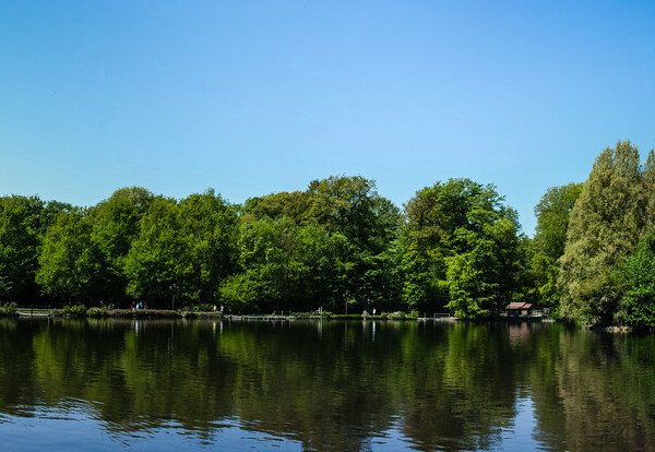 Lac de Sauvabelin: Ruhiger See mit Spiegelung der Bäume an einem sonnigen Tag.
