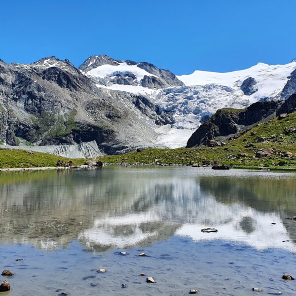 Lac de la Bayenna: Bergsee mit Spiegelung von Gletscher und Bergen im klaren Wasser.