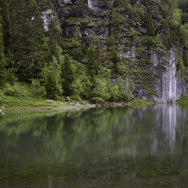 Spiegelung des Lac des Chavonnes mit bewaldeten Felsen im klaren Wasser.