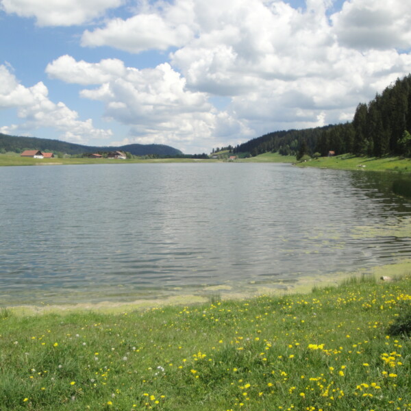 Lac des Taillères: Ruhiger See mit Wiesen und Wald unter blauem Himmel.
