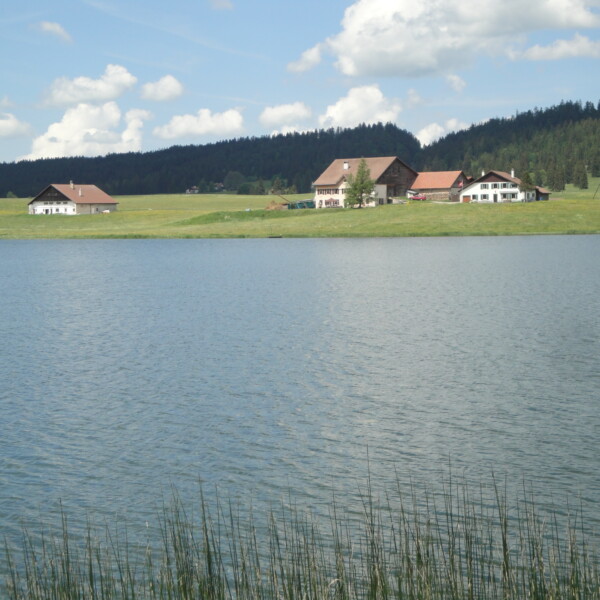 Lac des Taillères mit Häusern am Ufer und bewaldetem Hügel im Hintergrund.