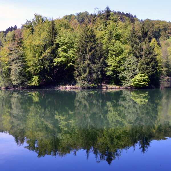 Spiegelung des Lac des Vaux im ruhigen Wasser, umgeben von Bäumen.