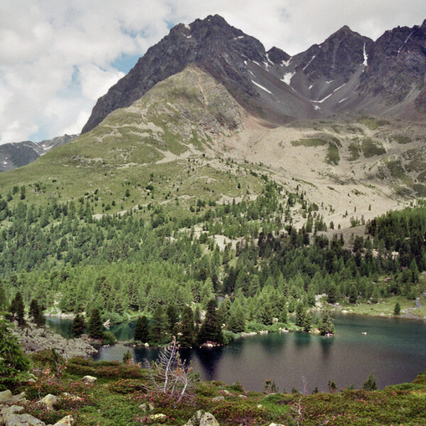 Lagh da Val Viola See mit Bergen und Wald.