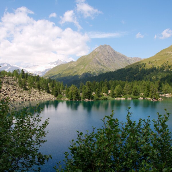 Lagh da Val Viola: Ruhiger Bergsee mit Spiegelung und bewaldeten Ufern.
