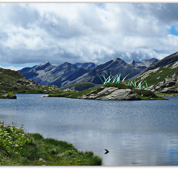 Laghetto Moesola: Bergsee mit grüner Insel und Alpenpanorama im Hintergrund.
