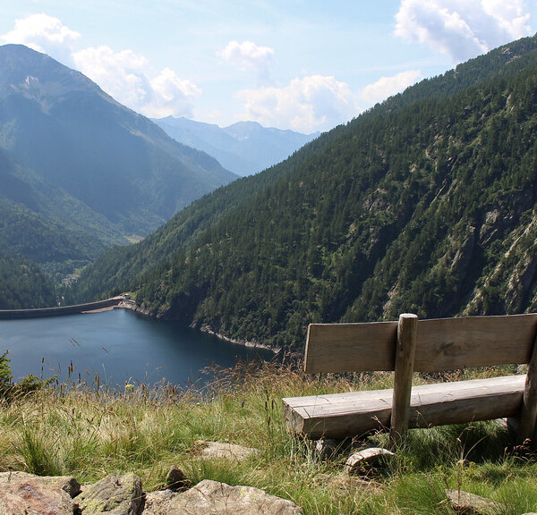 Holzbank mit Blick auf den Lago del Sambuco und die Berge.