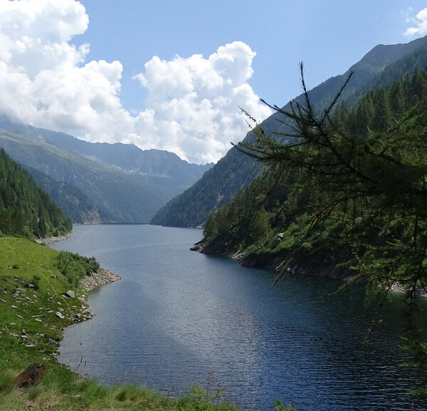 Lago del Sambuco: Ruhiger Bergsee umgeben von grünen Wäldern und Bergen unter blauem Himmel.