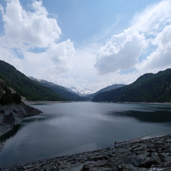 Lai da Marmorera: Ruhiger Bergsee mit bewaldeten Hängen und schneebedeckten Gipfeln unter blauem Himmel.