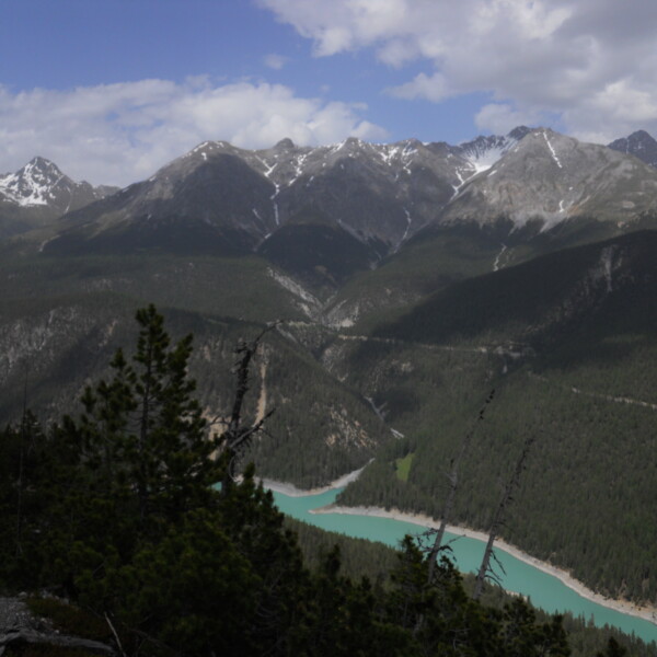 Türkisblauer Lai da Ova Spin See vor Alpenpanorama.