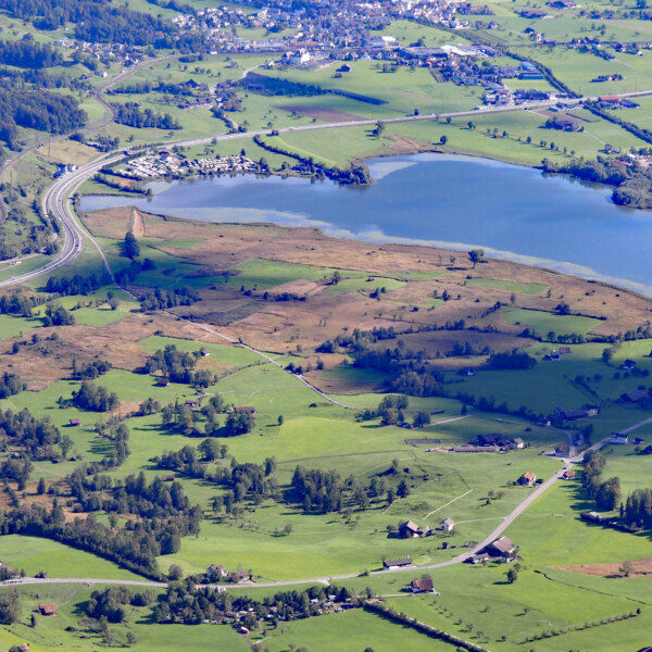 Luftaufnahme vom Lauerzersee mit grünen Wiesen und sanften Hügeln.
