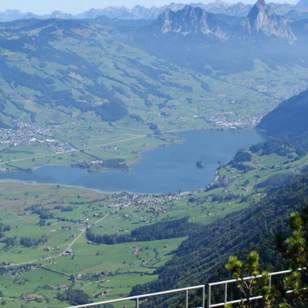 Panoramablick auf den Lauerzersee mit Bergen und grünen Hügeln.
