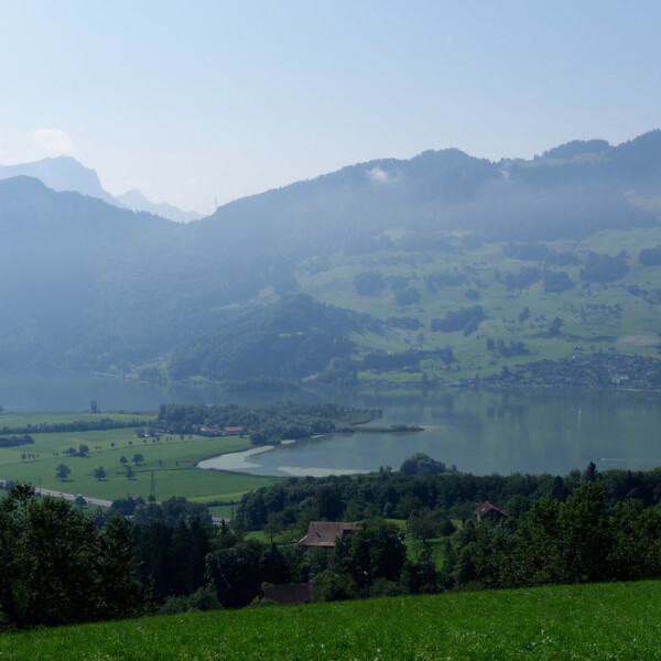 Panoramablick auf den Lauerzersee mit Bergen und grünen Hügeln.