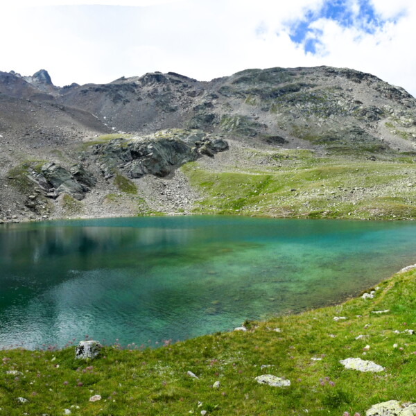Türkisblauer Lej Languard Bergsee in den Alpen mit grüner Wiese und felsiger Landschaft.