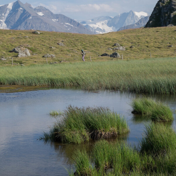 Wanderer am Gouilles-See in den Schweizer Alpen vor schneebedeckten Bergen.
