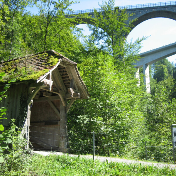 Alte Holzhütte mit Moosdach unter der Lorze-Brücke, umgeben von Grün.