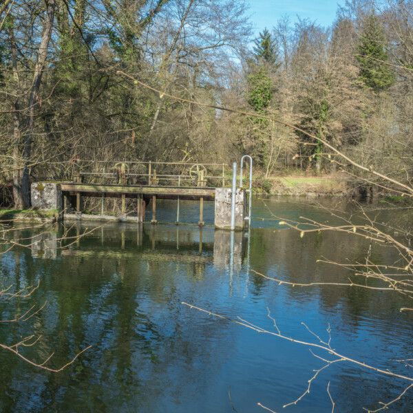 Lorze: Flusslandschaft mit Wehr und Bäumen im Frühling.