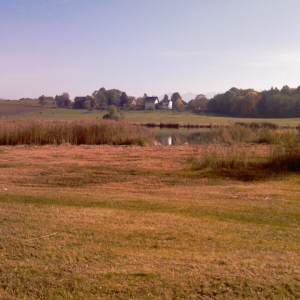 Lützelsee Landschaft mit Wiese, See und Häusern im Hintergrund.