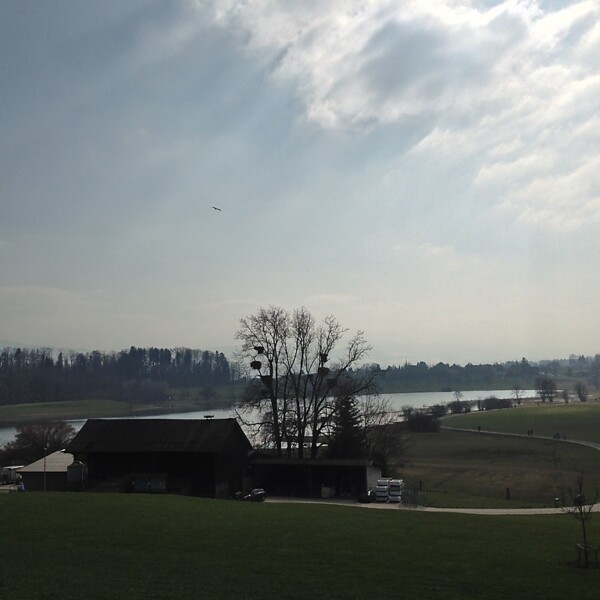 Lützelsee Landschaft mit Bauernhaus, See und Bäumen unter bewölktem Himmel.