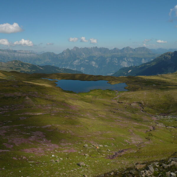 Madseeli Bergsee in grüner Alpenlandschaft unter blauem Himmel.