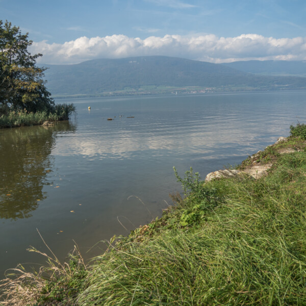 Mentue: Ruhiger See mit Bergen im Hintergrund und Ufervegetation.
