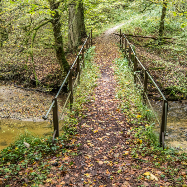 Brücke über den Bachlauf der Mentue im herbstlichen Wald.
