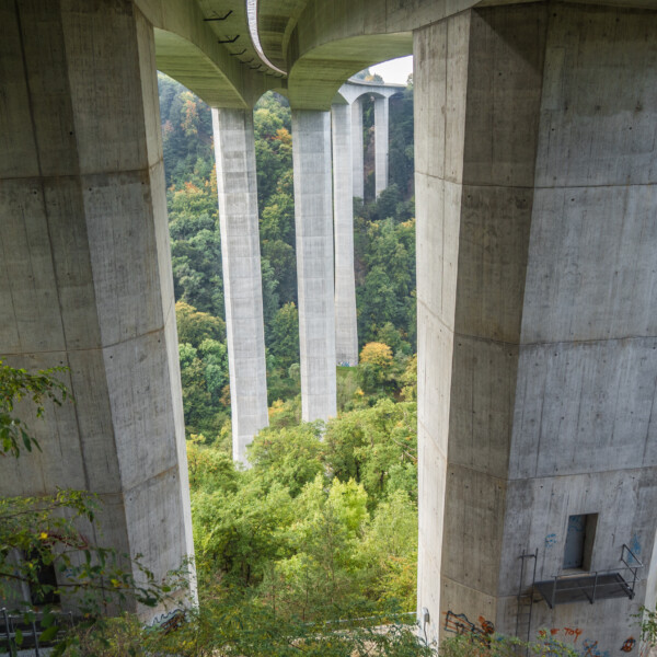 Betonpfeiler der Mentue-Brücke ragen durch grüne Bäume, ein beeindruckendes Ingenieurbauwerk.