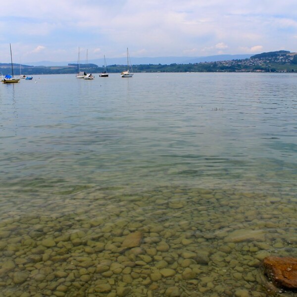 Murtensee mit Segelbooten und klarem Wasser über Kieselsteinen.