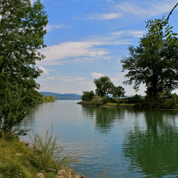 Murtensee: Ruhige Wasseroberfläche mit Bäumen und blauem Himmel