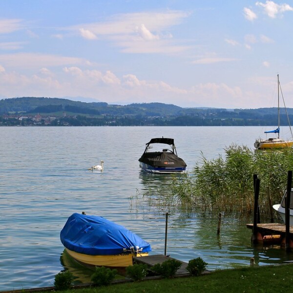 Boote auf dem Murtensee (Lac de Morat) mit Schilf und sanften Hügeln im Hintergrund.