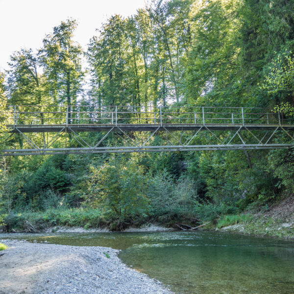 Brücke über den Fluss Necker, umgeben von grünen Bäumen.