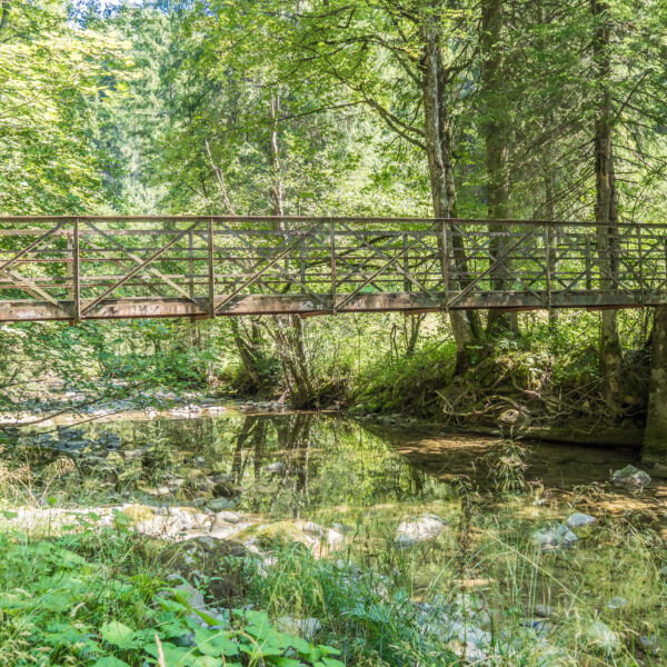 Metallbrücke über den Necker Fluss, umgeben von üppigem Grün.