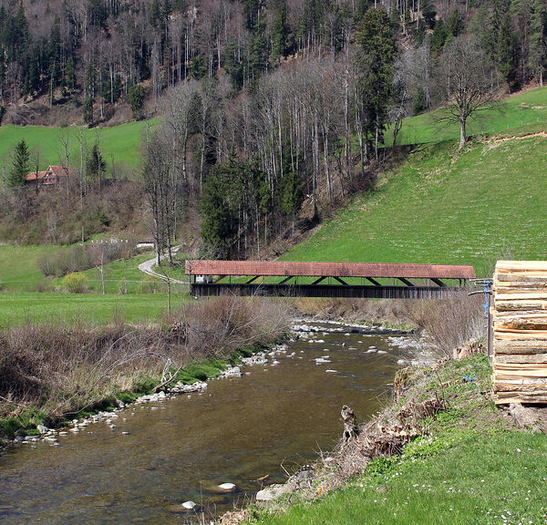Gedeckte Holzbrücke über den Necker Fluss in grüner Landschaft.