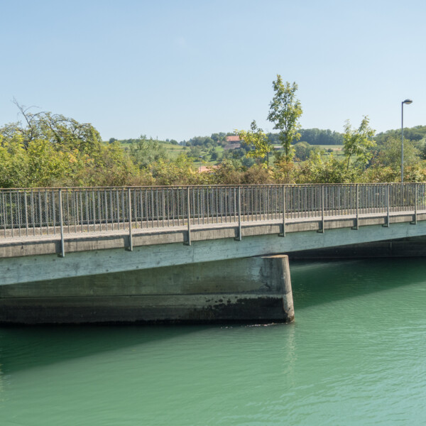 Brücke über den Niederriedsee mit grünen Wasser und Bäumen im Hintergrund.
