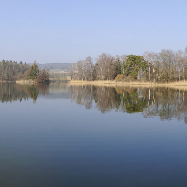 Nussbaumersee Panorama mit Steg und ruhigem Wasser, Bäume am Ufer.