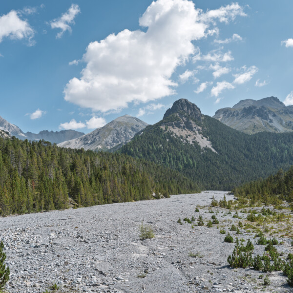 Flussbett Ova dal Fuorn mit Bergen und Wald im Schweizer Nationalpark.